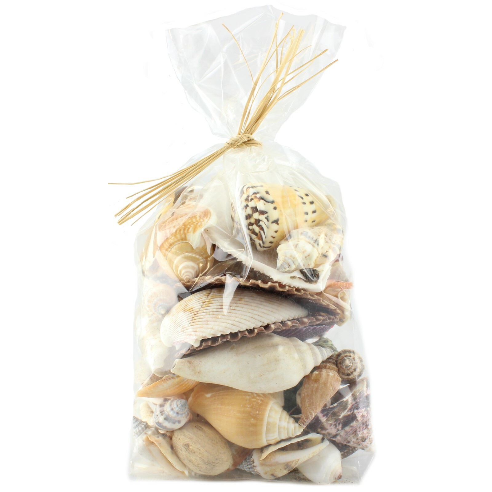 Medium Shell Pack A