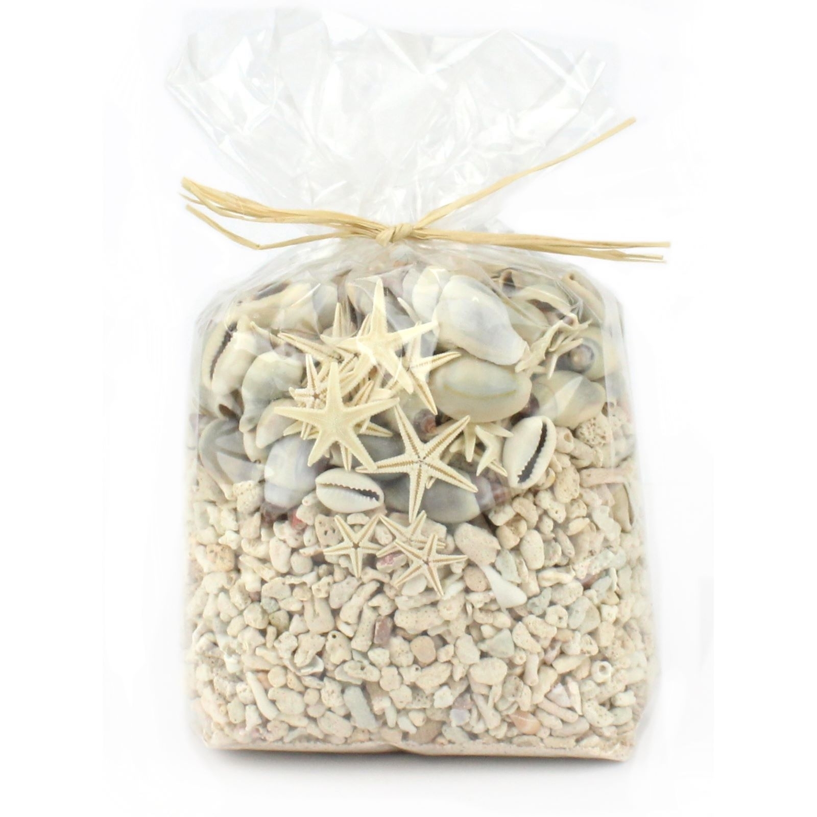 Small Coral, Shell & Starfish Pack