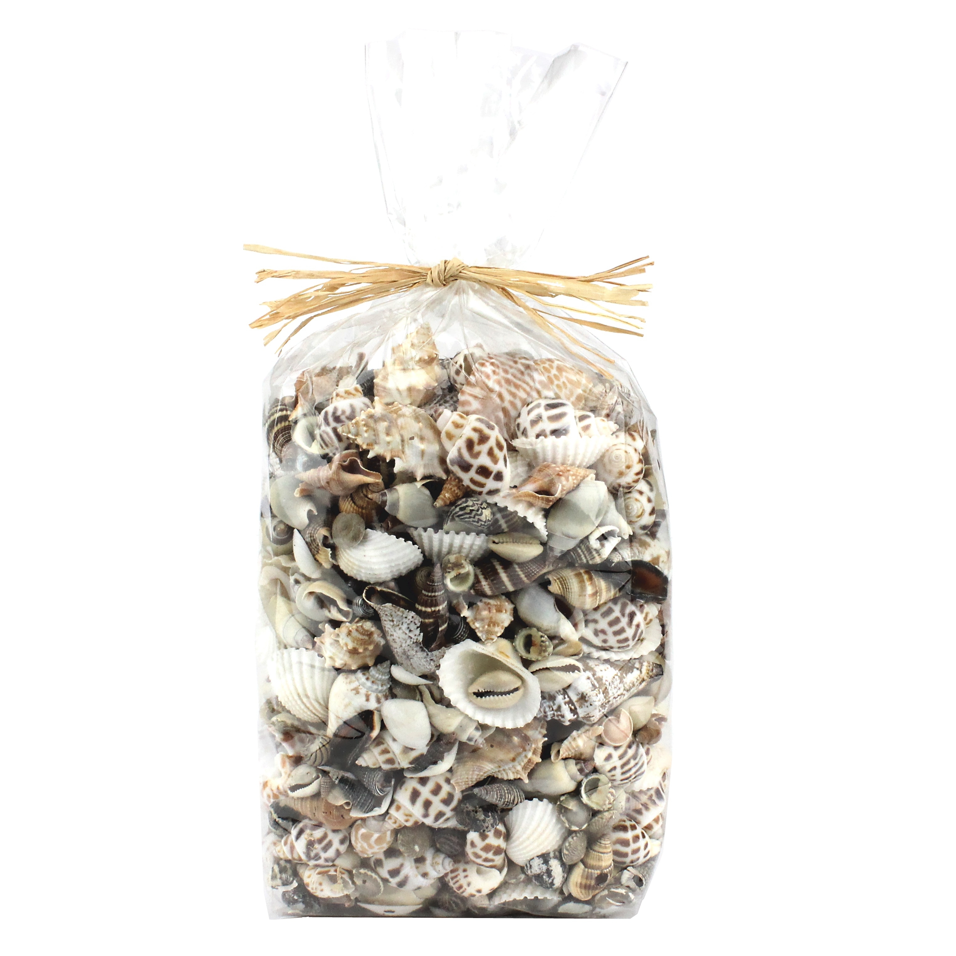 Large Shell Pack B 1kg