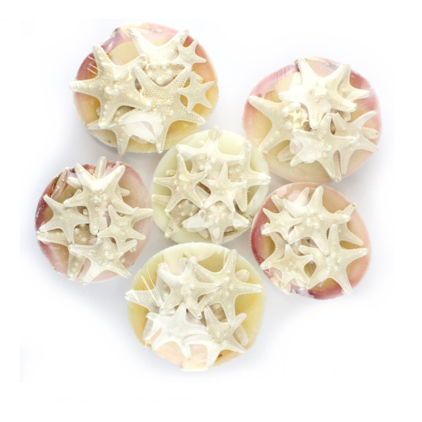 White Starfish Clam Shell Decoration