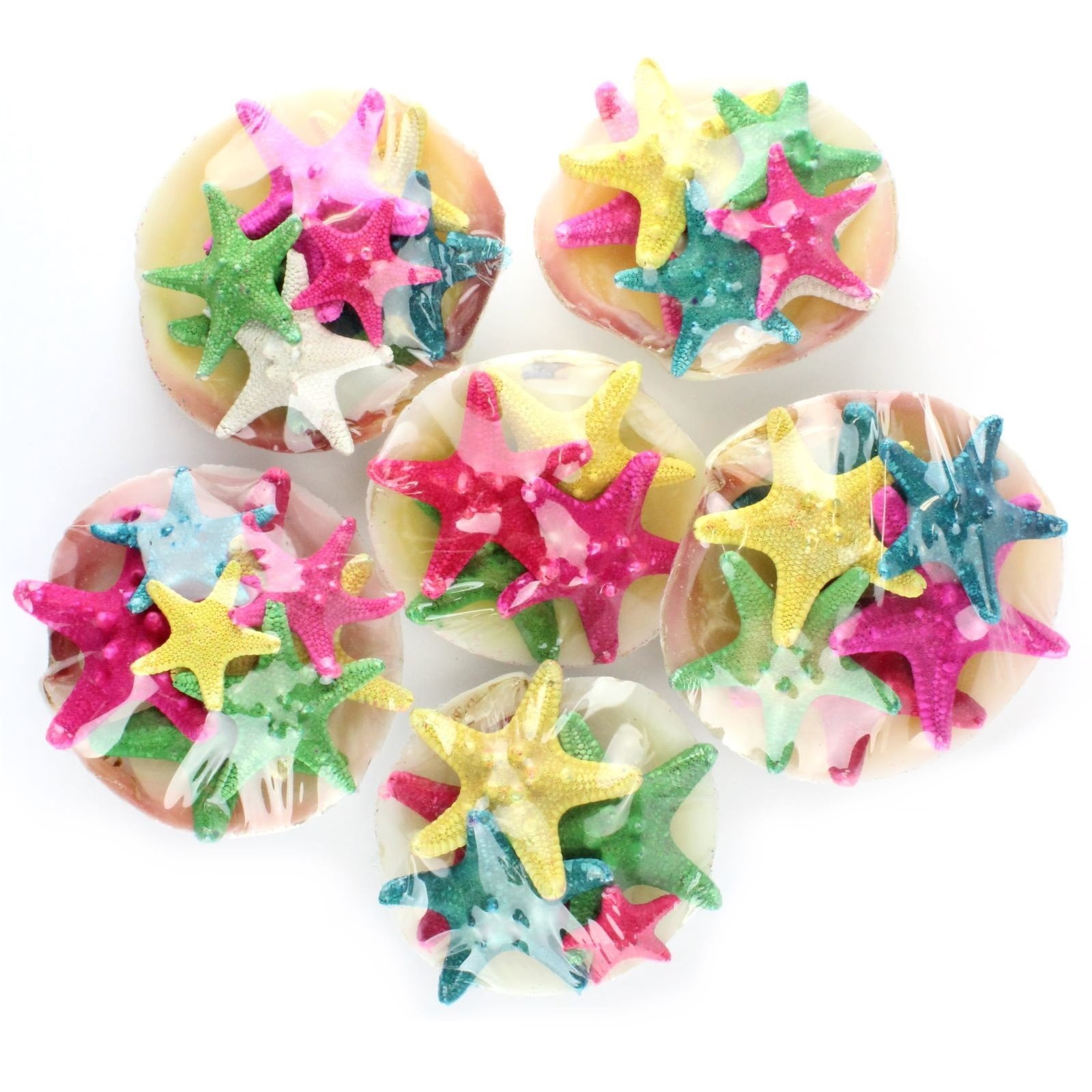 Coloured Starfish Clam Shell Decoration