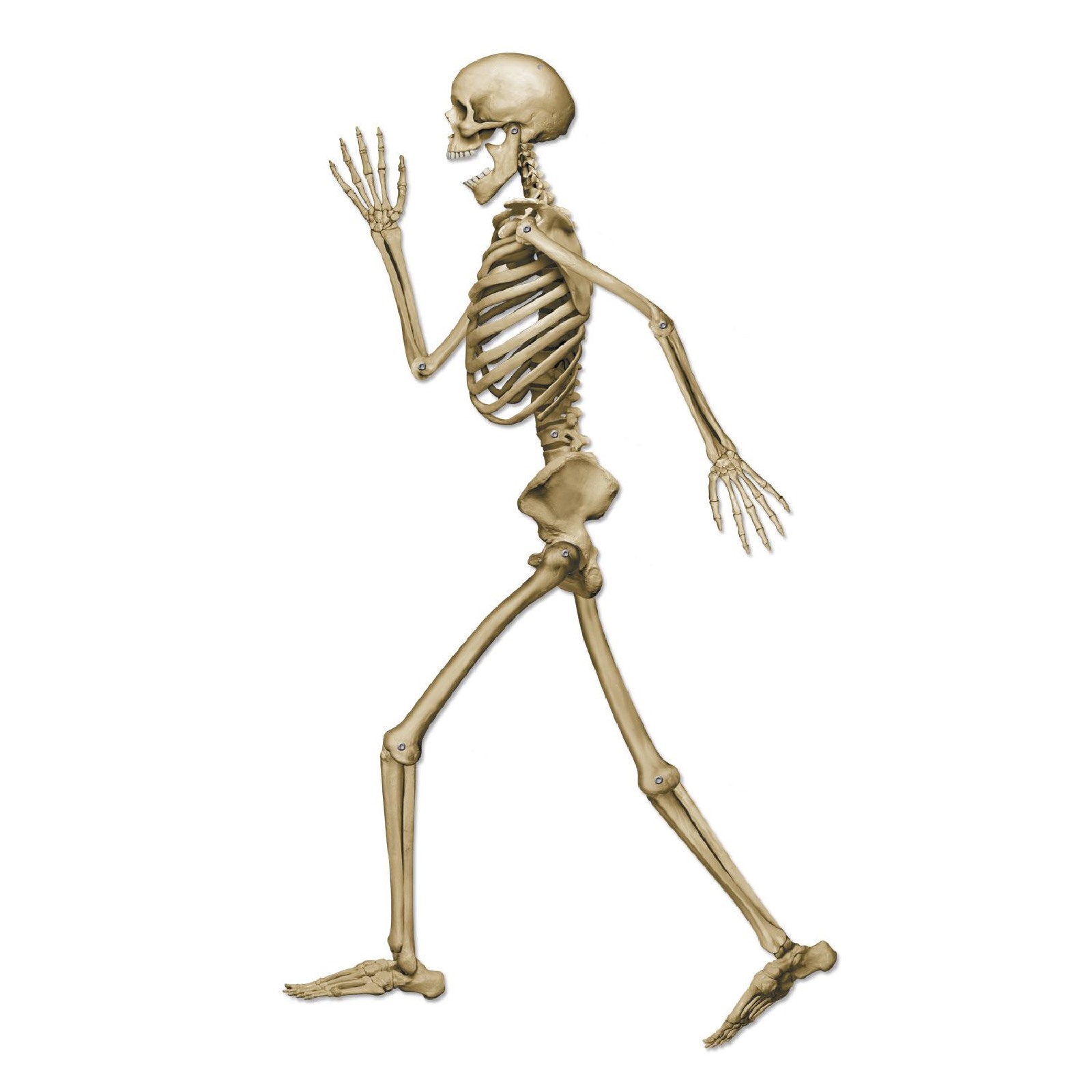 Profile Pete Jointed Skeleton Cutout Wall Decoration