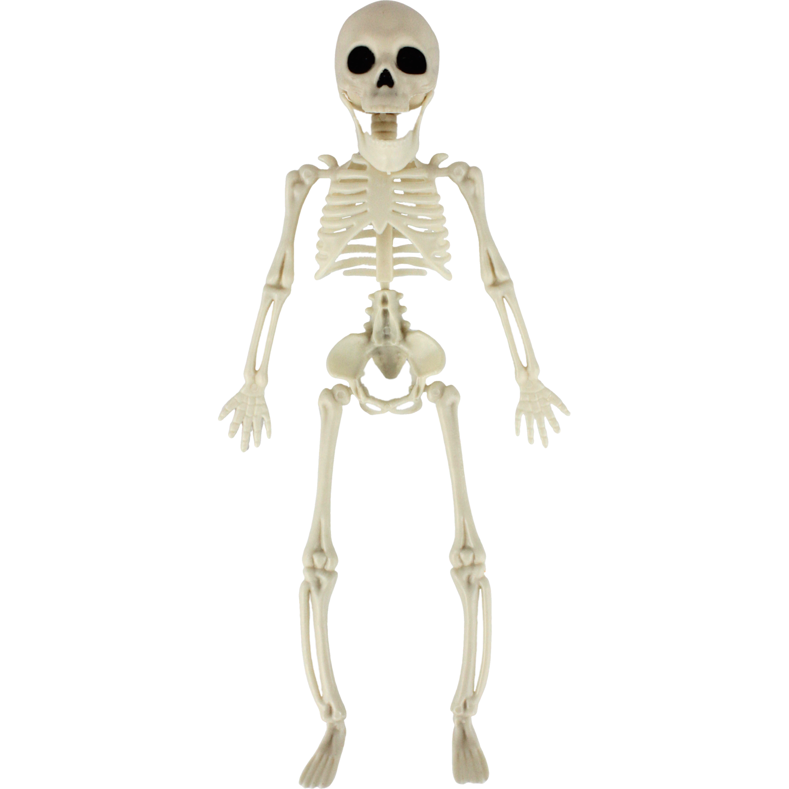 Beige Skeleton Decoration 28cm
