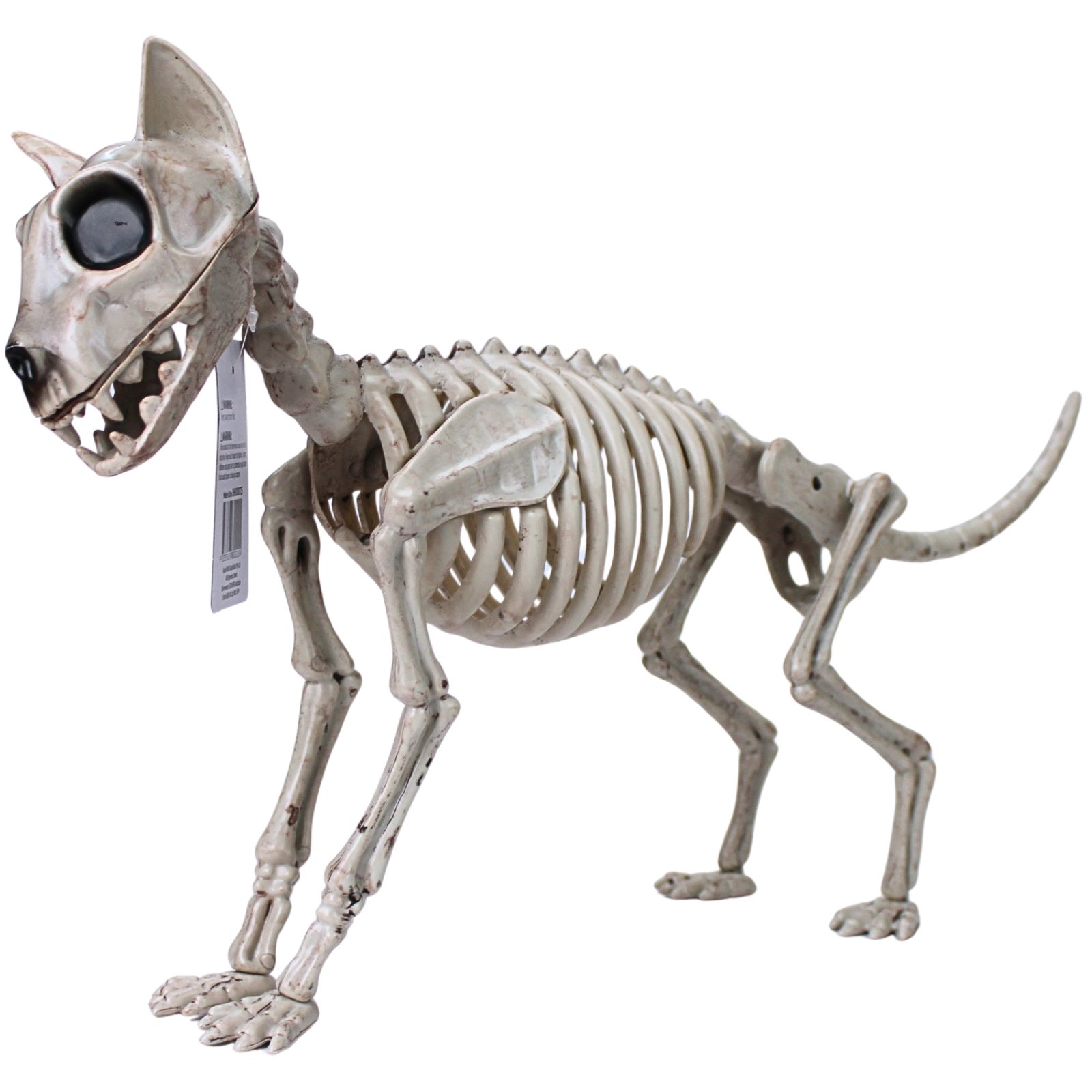 Skeletal Cat Decoration - Discount Party Supplies