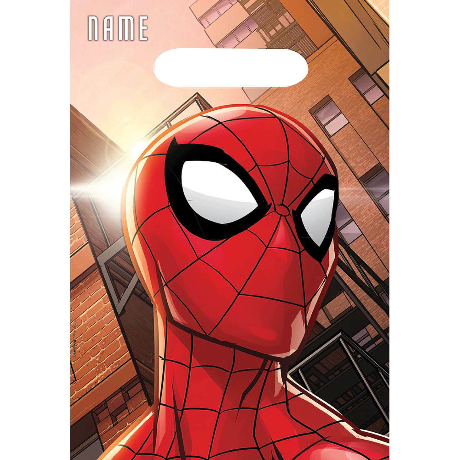 Spiderman Webbed Wonder Lolly/Treat Bags (Pack of 8)