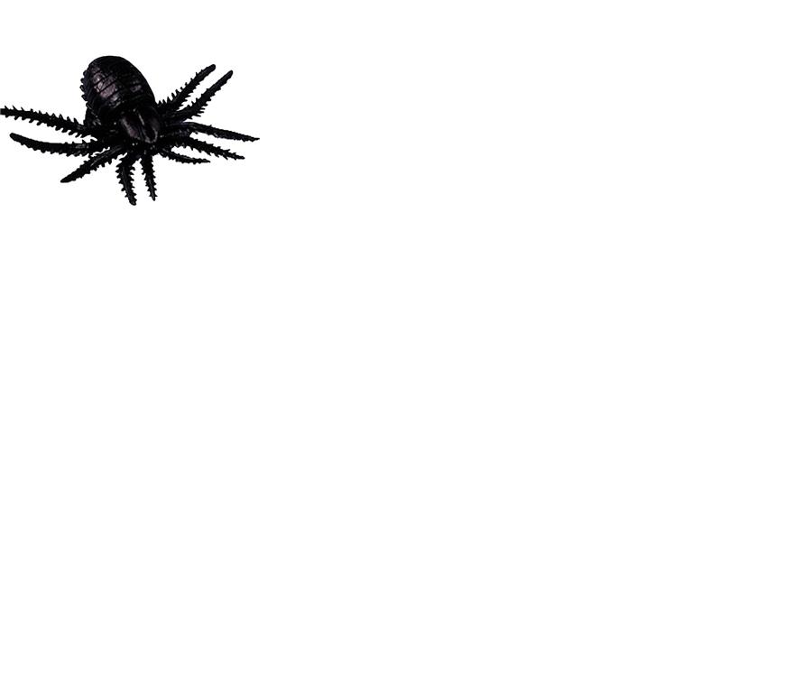Spider With Suction Halloween Prop