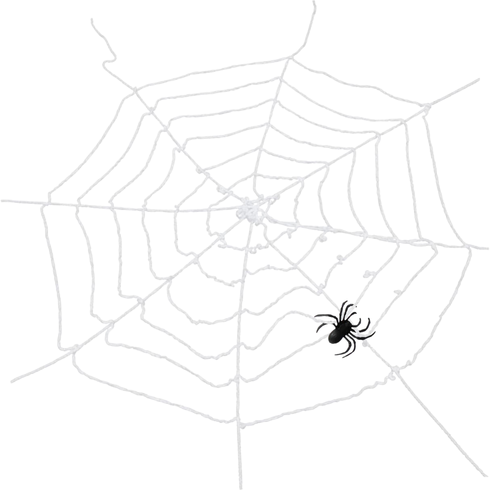 Spider Web And Spider Wall Decoration (152cm)