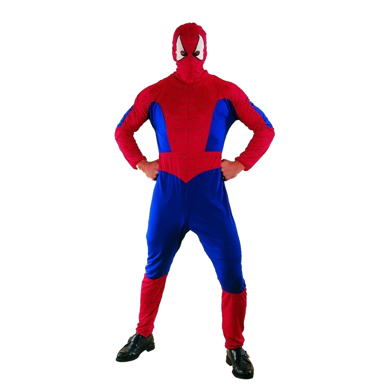 Adult Spider Hero Costume
