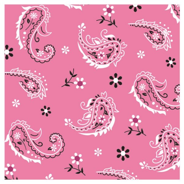 Pink Bandana Cowgirl Small Napkins / Serviettes (Pack of 16)