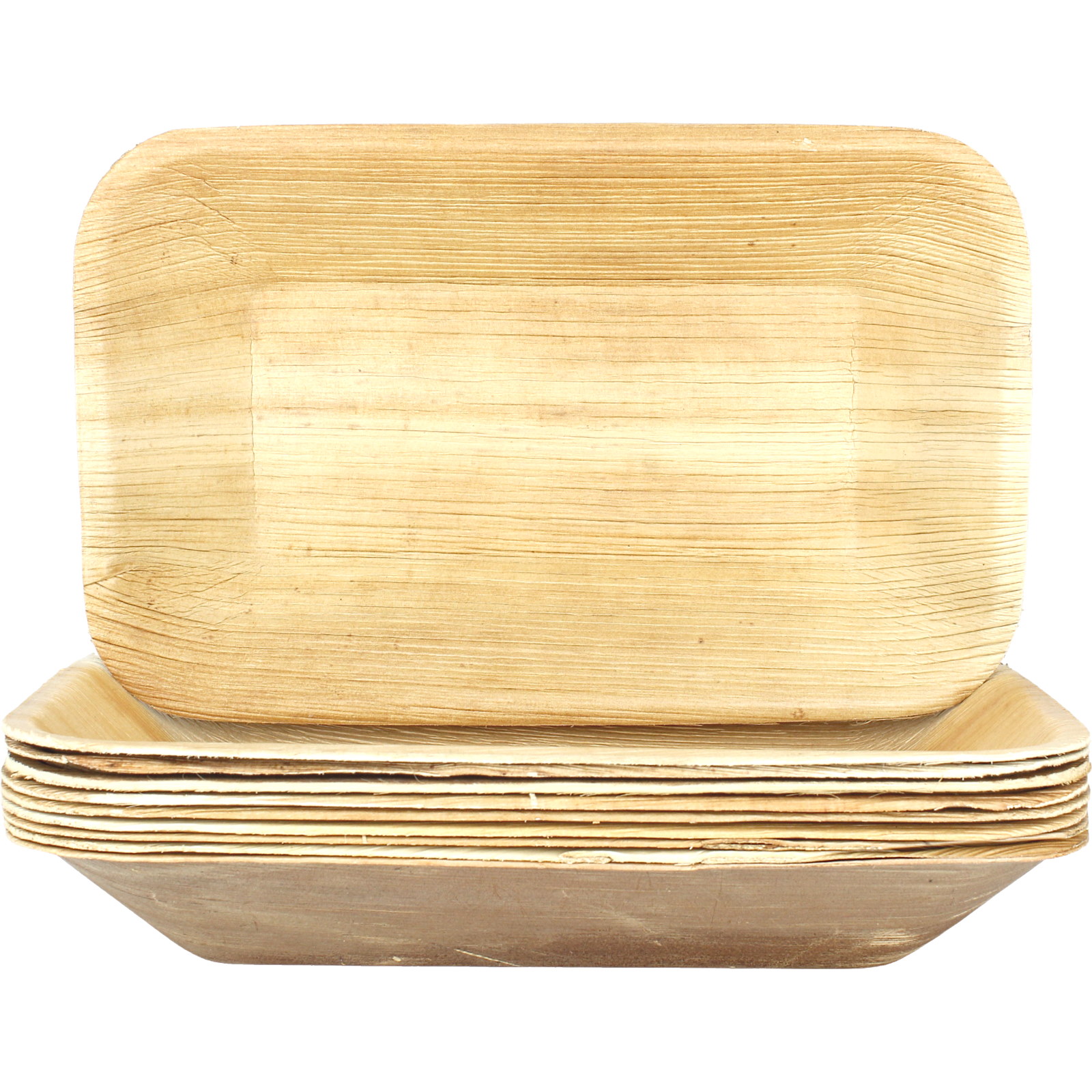 Natural Palm Leaf Rectangular Plates (Pack of 10)