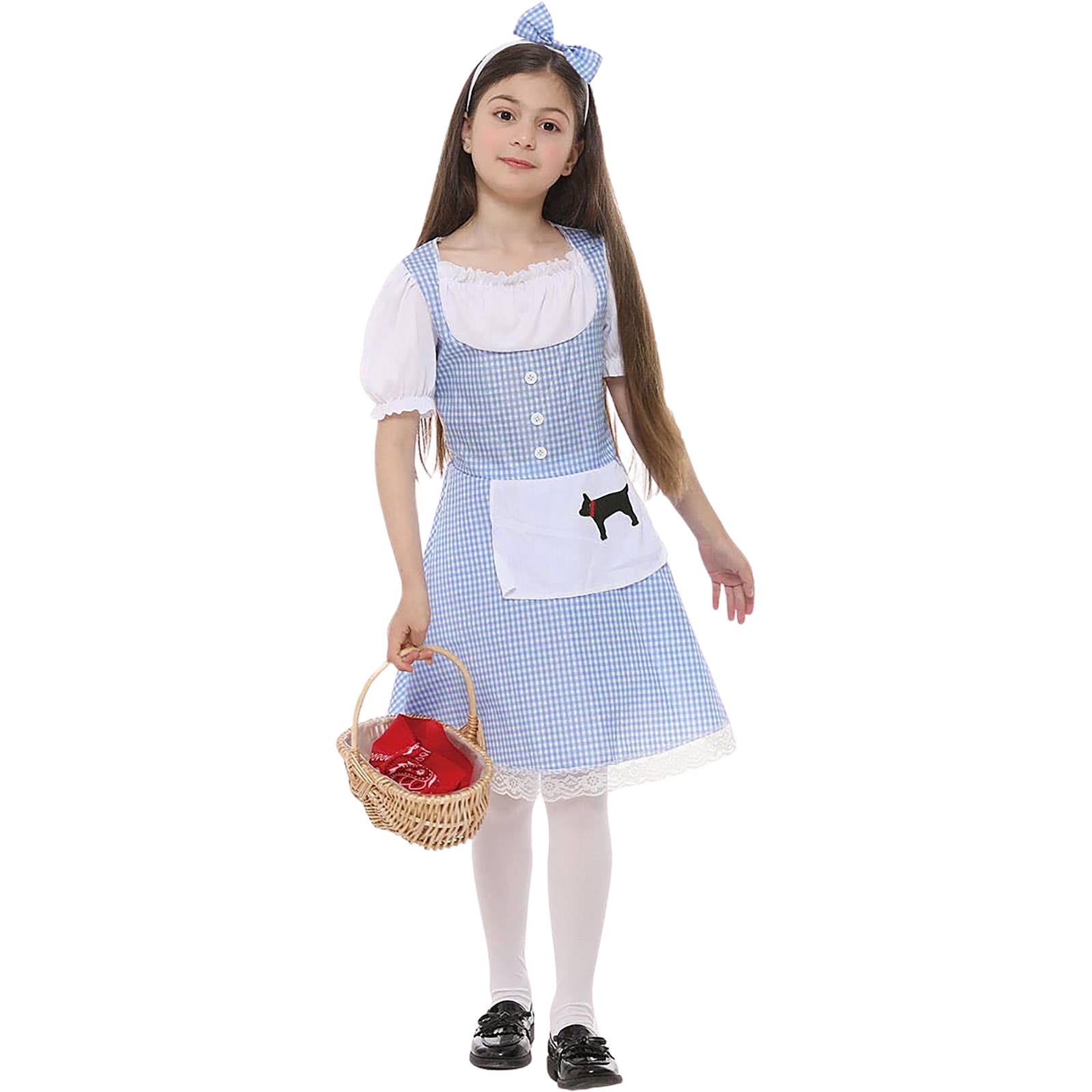 Storybook Dorothy Girls Costume 10-12 Years 