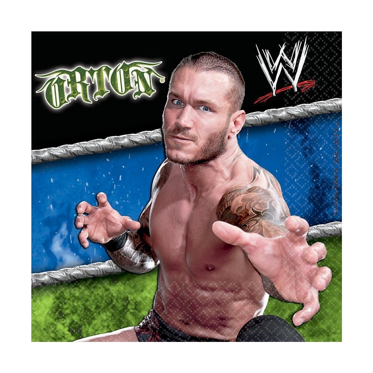 WWE Small Napkins / Serviettes (Pack of 16)