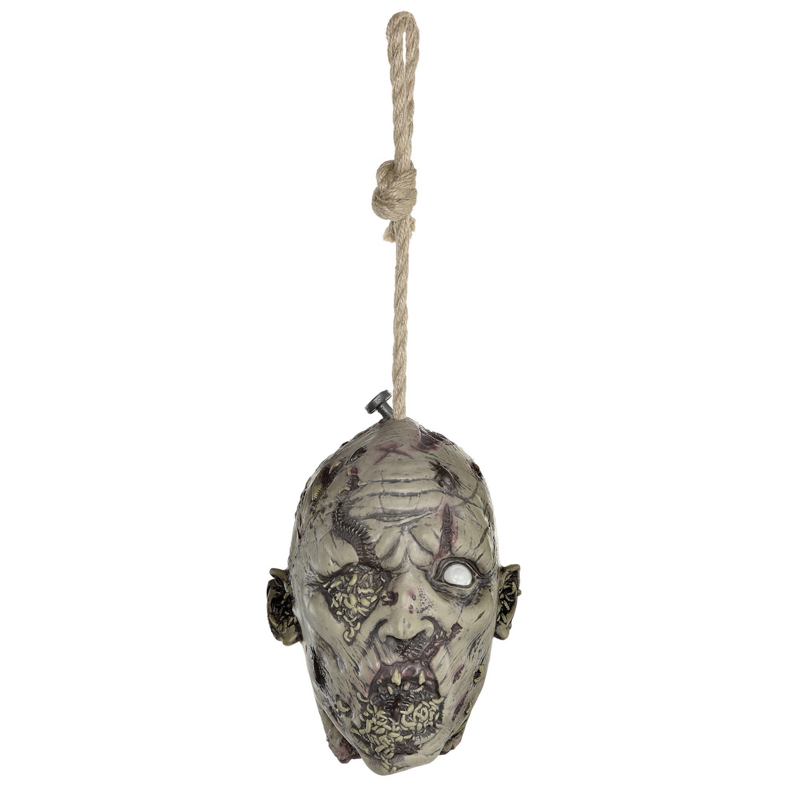 Maggot Infested Zombie Head Hanging Halloween Decoration
